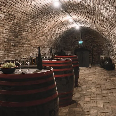 Appart hôtel 5 Haz Borbirtok Hévíz